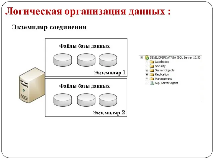 Логическая организация данных : Экземпляр соединения Файлы базы данных Экземпляр 1 Файлы базы данных Экземпляр 2