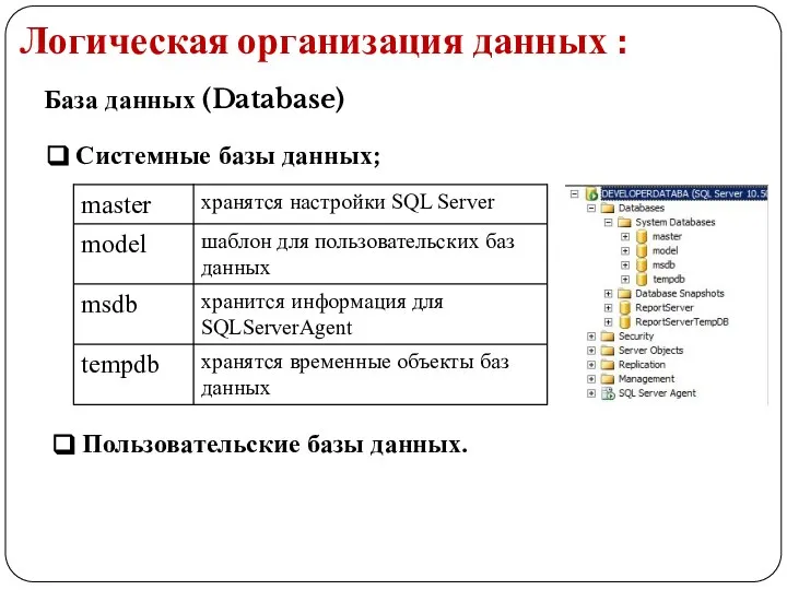 Логическая организация данных : База данных (Database) Системные базы данных; Пользовательские базы данных.