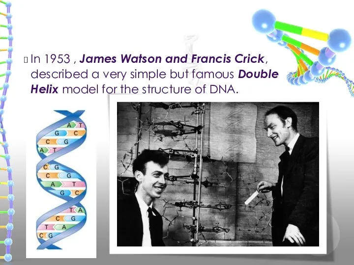 In 1953 , James Watson and Francis Crick, described a very