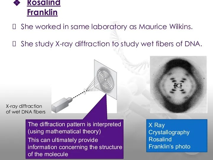 She worked in same laboratory as Maurice Wilkins. She study X-ray