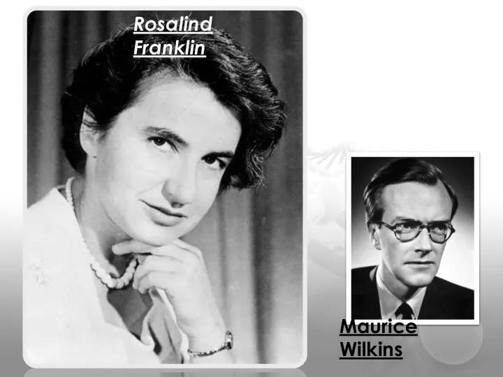 Rosalind Franklin Maurice Wilkins