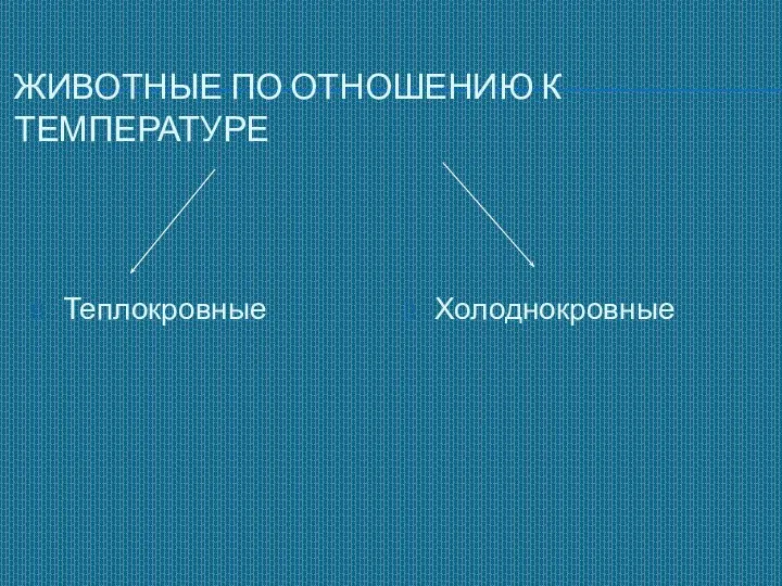 ЖИВОТНЫЕ ПО ОТНОШЕНИЮ К ТЕМПЕРАТУРЕ Теплокровные Холоднокровные