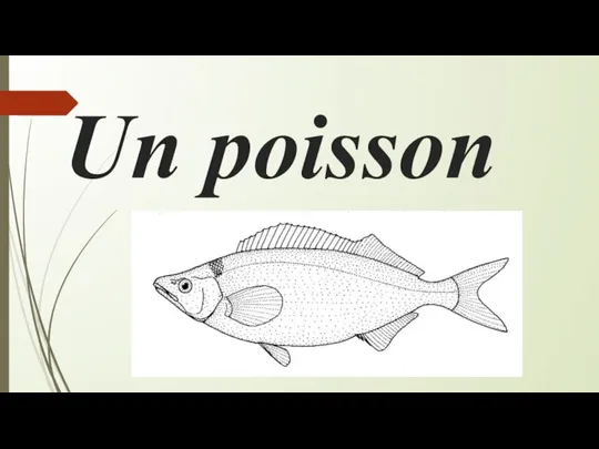 Un poisson