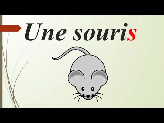 Une souris