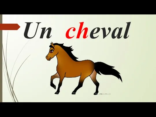 Un cheval