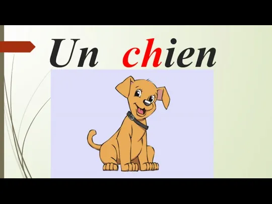 Un chien