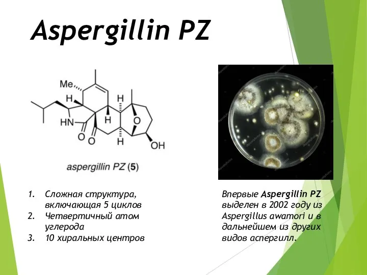 Aspergillin PZ Cложная структура, включающая 5 циклов Четвертичный атом углерода 10