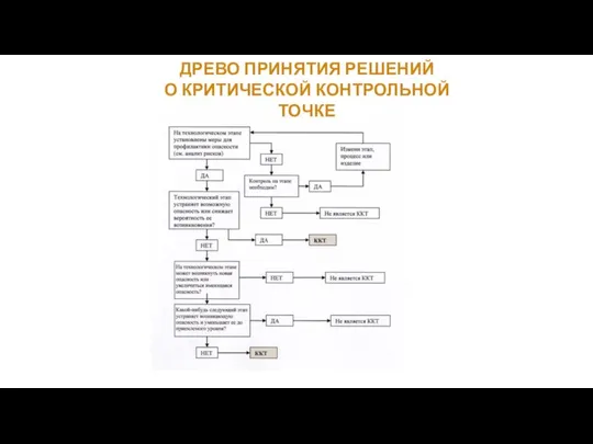 ДРЕВО ПРИНЯТИЯ РЕШЕНИЙ О КРИТИЧЕСКОЙ КОНТРОЛЬНОЙ ТОЧКЕ