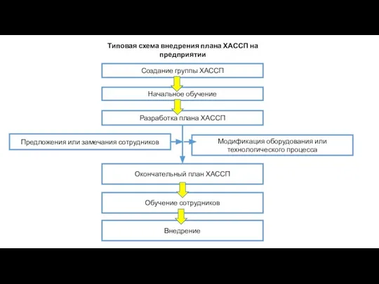 Типовая схема внедрения плана ХАССП на предприятии Создание группы ХАССП Начальное