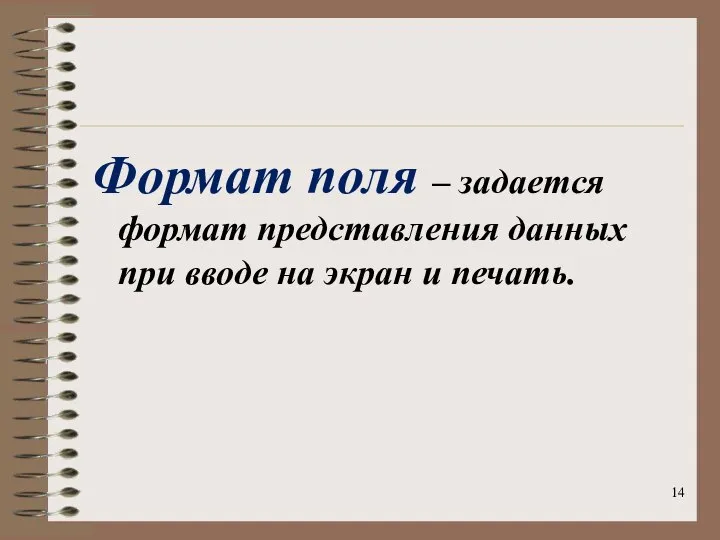 Формат поля – задается формат представления данных при вводе на экран и печать.