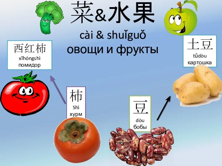 菜&水果 cài & shuǐguǒ овощи и фрукты 西红柿 xīhóngshì помидор 柿
