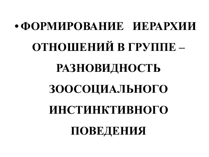 ФОРМИРОВАНИЕ ИЕРАРХИИ ОТНОШЕНИЙ В ГРУППЕ – РАЗНОВИДНОСТЬ ЗООСОЦИАЛЬНОГО ИНСТИНКТИВНОГО ПОВЕДЕНИЯ