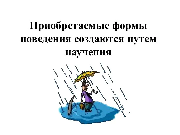 Приобретаемые формы поведения создаются путем научения