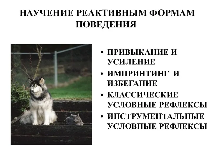 НАУЧЕНИЕ РЕАКТИВНЫМ ФОРМАМ ПОВЕДЕНИЯ ПРИВЫКАНИЕ И УСИЛЕНИЕ ИМПРИНТИНГ И ИЗБЕГАНИЕ КЛАССИЧЕСКИЕ УСЛОВНЫЕ РЕФЛЕКСЫ ИНСТРУМЕНТАЛЬНЫЕ УСЛОВНЫЕ РЕФЛЕКСЫ