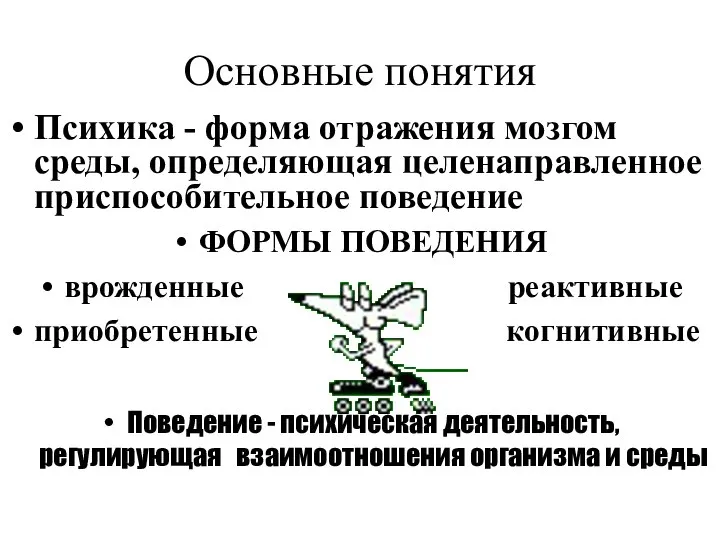 Основные понятия Психика - форма отражения мозгом среды, определяющая целенаправленное приспособительное