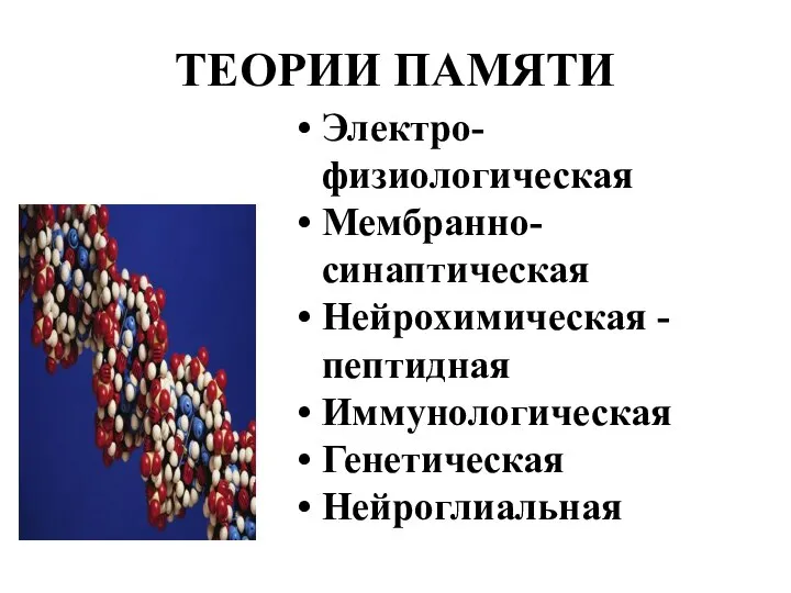 ТЕОРИИ ПАМЯТИ Электро-физиологическая Мембранно-синаптическая Нейрохимическая - пептидная Иммунологическая Генетическая Нейроглиальная