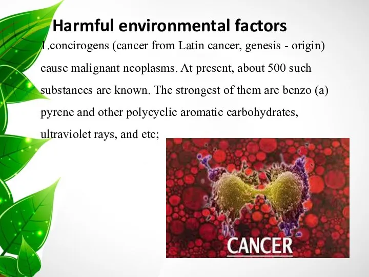 1.concirogens (cancer from Latin cancer, genesis - origin) cause malignant neoplasms.