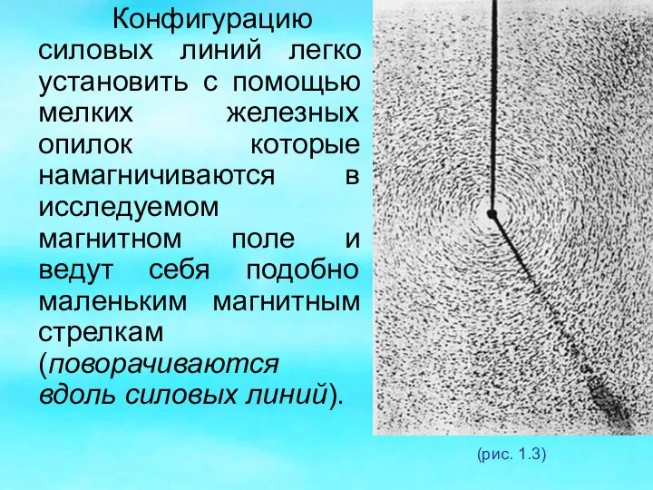 Конфигурацию силовых линий легко установить с помощью мелких железных опилок которые