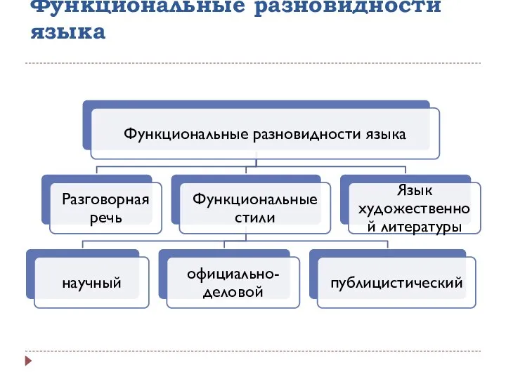 Функциональные разновидности языка