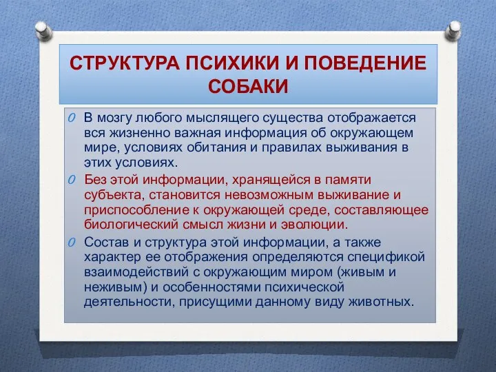 СТРУКТУРА ПСИХИКИ И ПОВЕДЕНИЕ СОБАКИ В мозгу любого мыслящего существа отображается