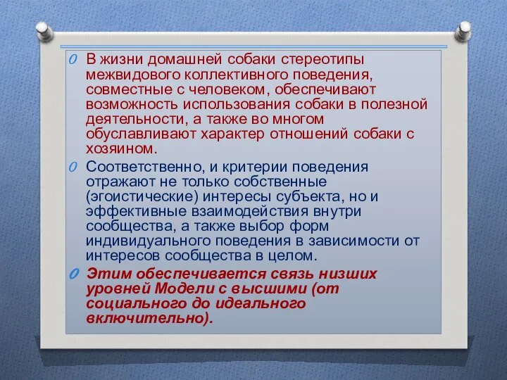 В жизни домашней собаки стереотипы межвидового коллективного поведения, совместные с человеком,