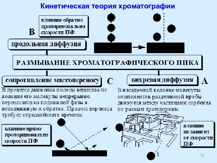 Кинетическая теория хроматографии