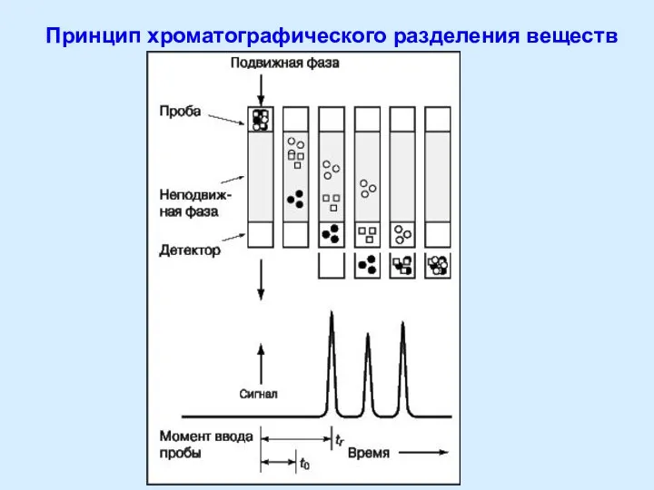 Принцип хроматографического разделения веществ
