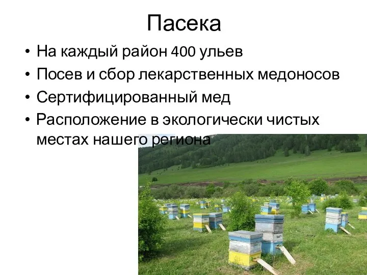 Пасека На каждый район 400 ульев Посев и сбор лекарственных медоносов