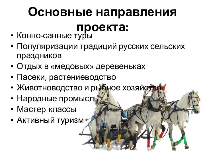 Основные направления проекта: Конно-санные туры Популяризации традиций русских сельских праздников Отдых