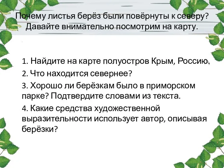 Почему листья берёз были повёрнуты к северу? Давайте внимательно посмотрим на