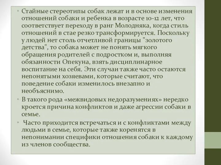 Стайные стереотипы собак лежат и в основе изменения отношений собаки и