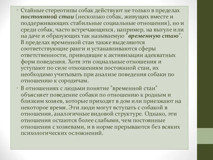 Стайные стереотипы собак действуют не только в пределах постоянной стаи (несколько