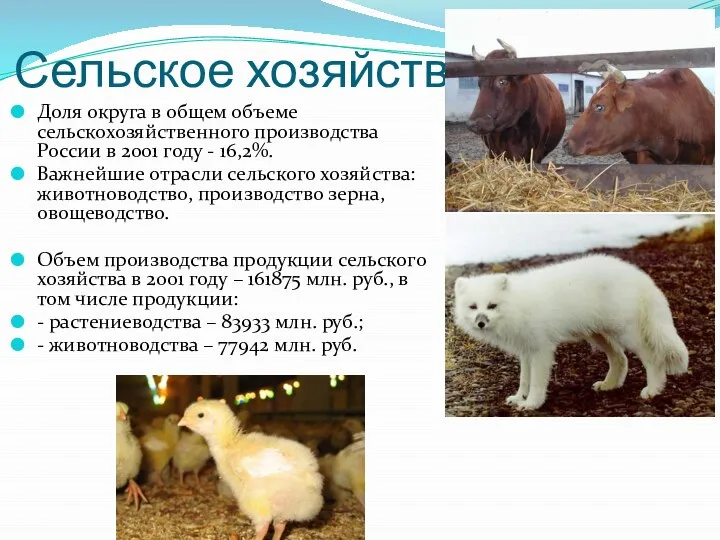 Сельское хозяйство Доля округа в общем объеме сельскохозяйственного производства России в