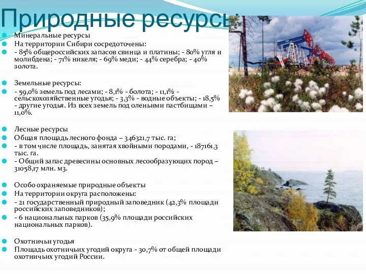 Природные ресурсы Минеральные ресурсы На территории Сибири сосредоточены: - 85% общероссийских