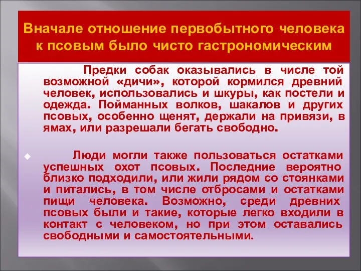 Вначале отношение первобытного человека к псовым было чисто гастрономическим Предки собак