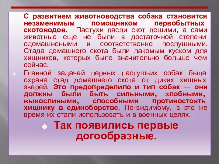 С развитием животноводства собака становится незаменимым помощником первобытных скотоводов. Пастухи пасли