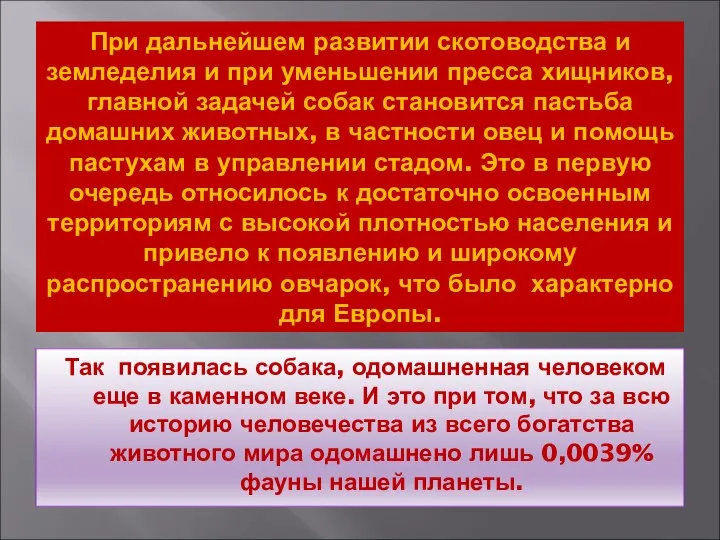 При дальнейшем развитии скотоводства и земледелия и при уменьшении пресса хищников,