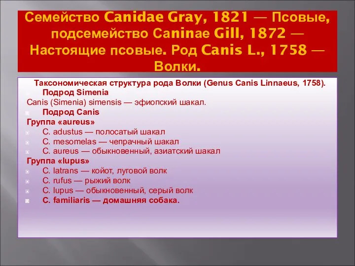 Семейство Canidae Gray, 1821 — Псовые, подсемейство Саninае Gill, 1872 —