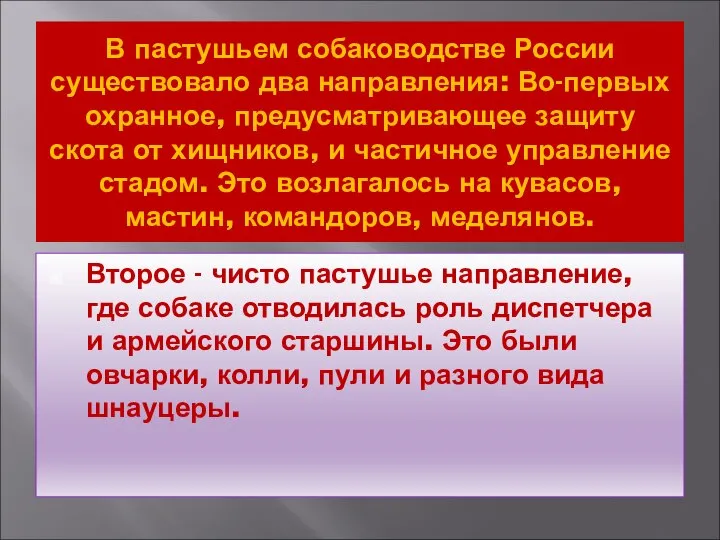 В пастушьем собаководстве России существовало два направления: Во-первых охранное, предусматривающее защиту