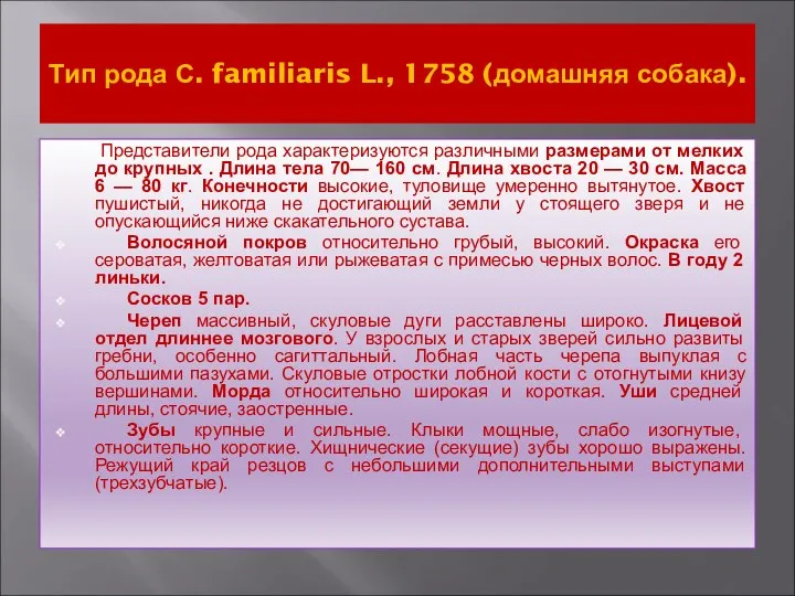 Тип рода С. familiaris L., 1758 (домашняя собака). Представители рода характеризуются