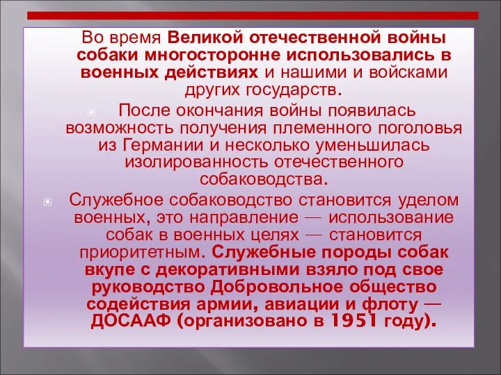 Во время Великой отечественной войны собаки многосторонне использовались в военных действиях