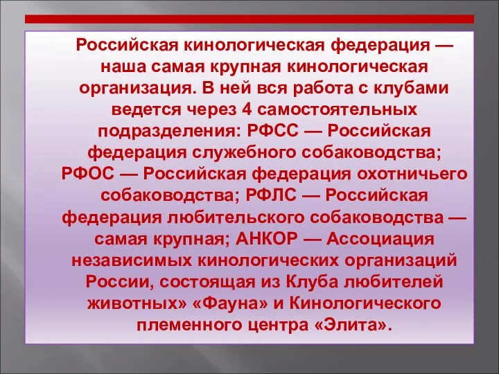 Российская кинологическая федерация — наша самая крупная кинологическая организация. В ней