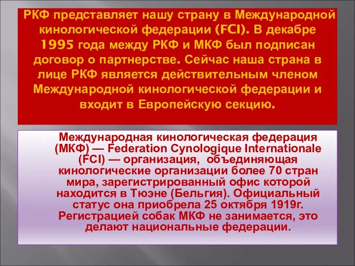 РКФ представляет нашу страну в Международной кинологической федерации (FCI). В декабре