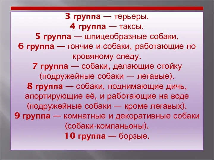 3 группа — терьеры. 4 группа — таксы. 5 группа —