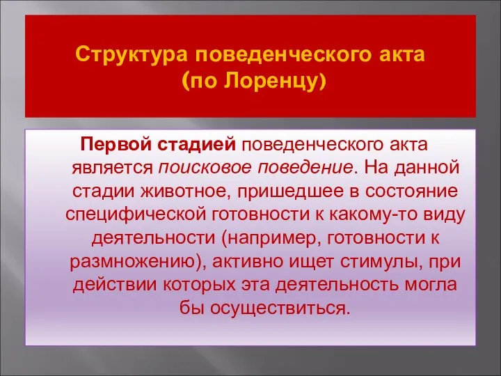 Структура поведенческого акта (по Лоренцу) Первой стадией поведенческого акта является поисковое