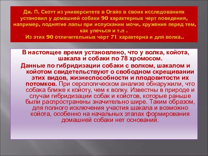 Дж. П. Скотт из университета в Огайо в своих исследованиях установил