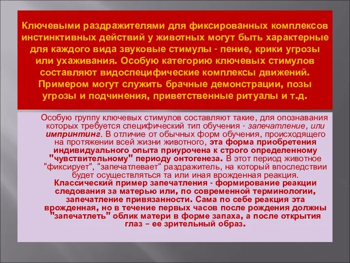 Ключевыми раздражителями для фиксированных комплексов инстинктивных действий у животных могут быть