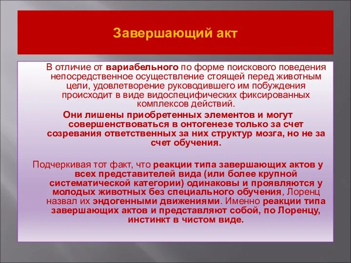 Завершающий акт В отличие от вариабельного по форме поискового поведения непосредственное