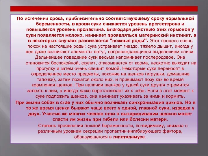 По истечении срока, приблизительно соответствующему сроку нормальной беременности, в крови суки