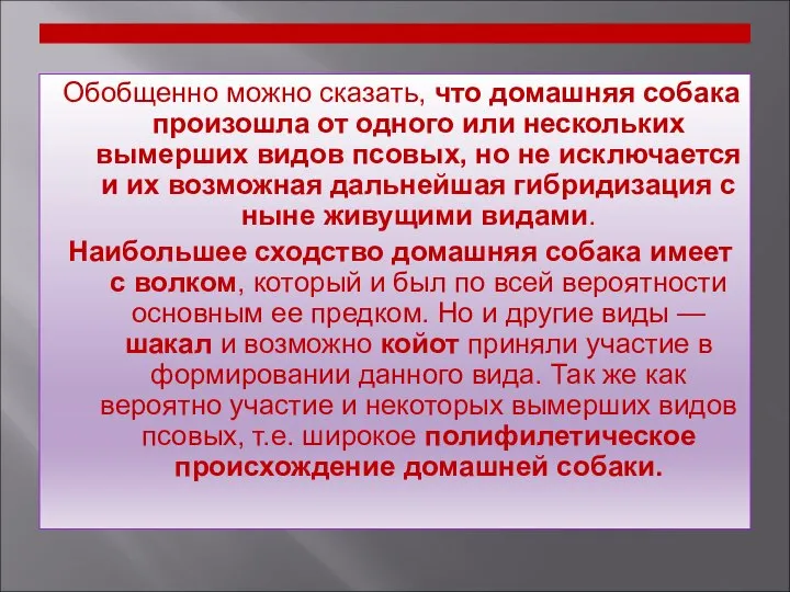 Обобщенно можно сказать, что домашняя собака произошла от одного или нескольких